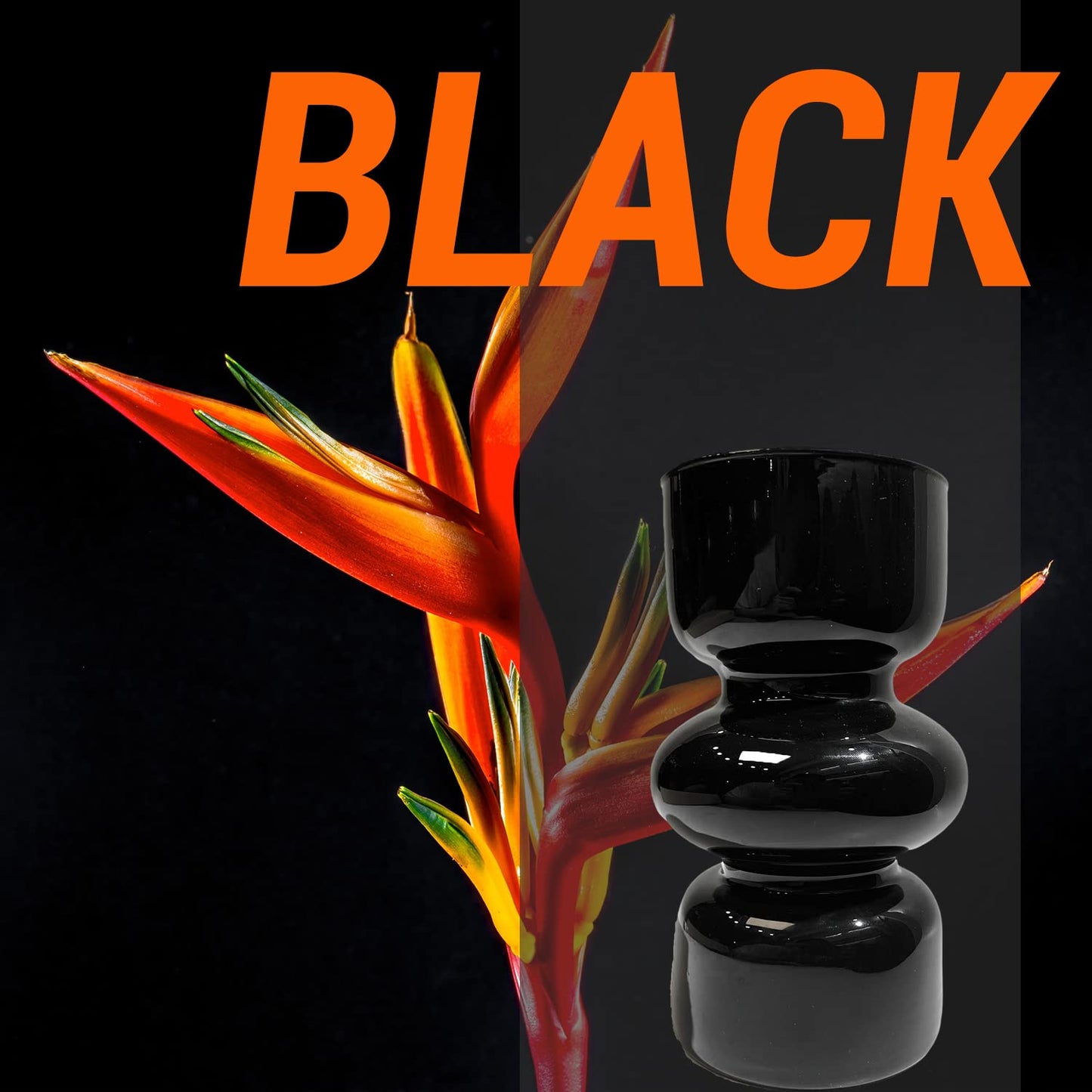 BLOFLO Black Glass Hydroponic Vase, 7Inches Glass Vase for Flower, Modern Geometric Three-Layer Floral Vases for Home Office, Wedding Table Decoration(Black)