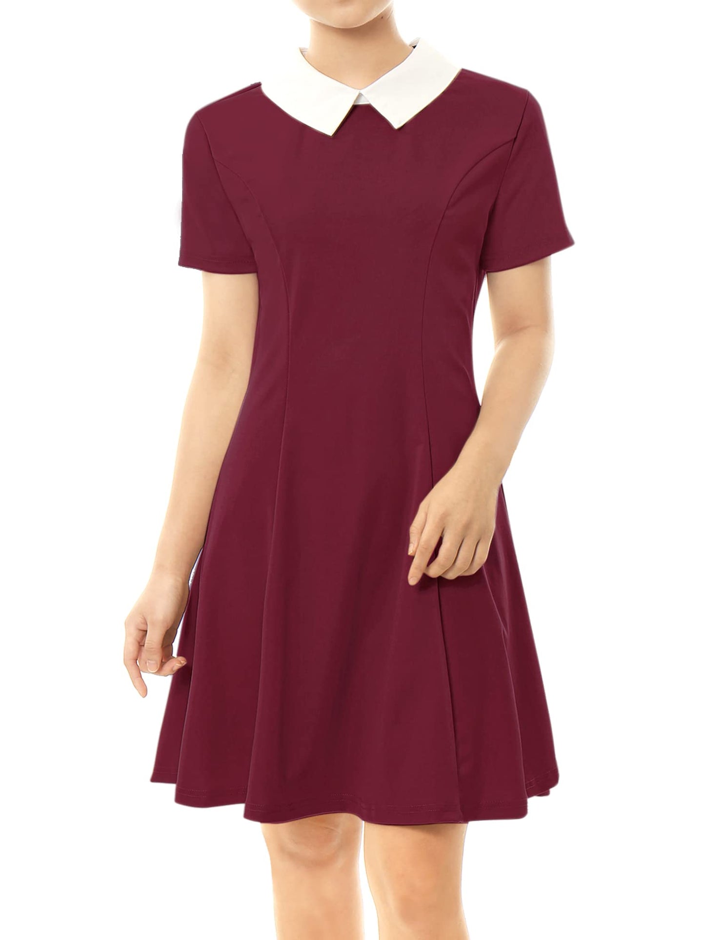 Allegra K Women's Flare Dress Halloween Contrast Peter Pan Collar Short Sleeves Wednesday Addam Dresses X-Small Burgundy