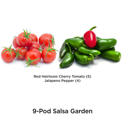 AeroGarden Salsa Garden Seed Pod Kit, 9-pod