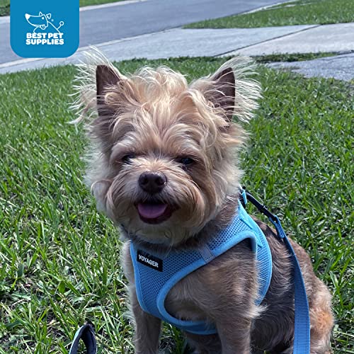 Best Pet Supplies - All Weather Mesh, Reflective, No Pull Harness for Small, Medium Dogs, Cats - Secure with Hook & Loop Fastener, Buckle, Double D-Rings - Baby Blue, M