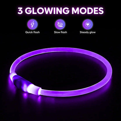 HIGO Light Up Dog Collar, LED Dog Collar for Night Safety with 3 Modes, Type-C Rechargeable & Adjustable TPU Material for Small Medium Large Dogs (Purple)