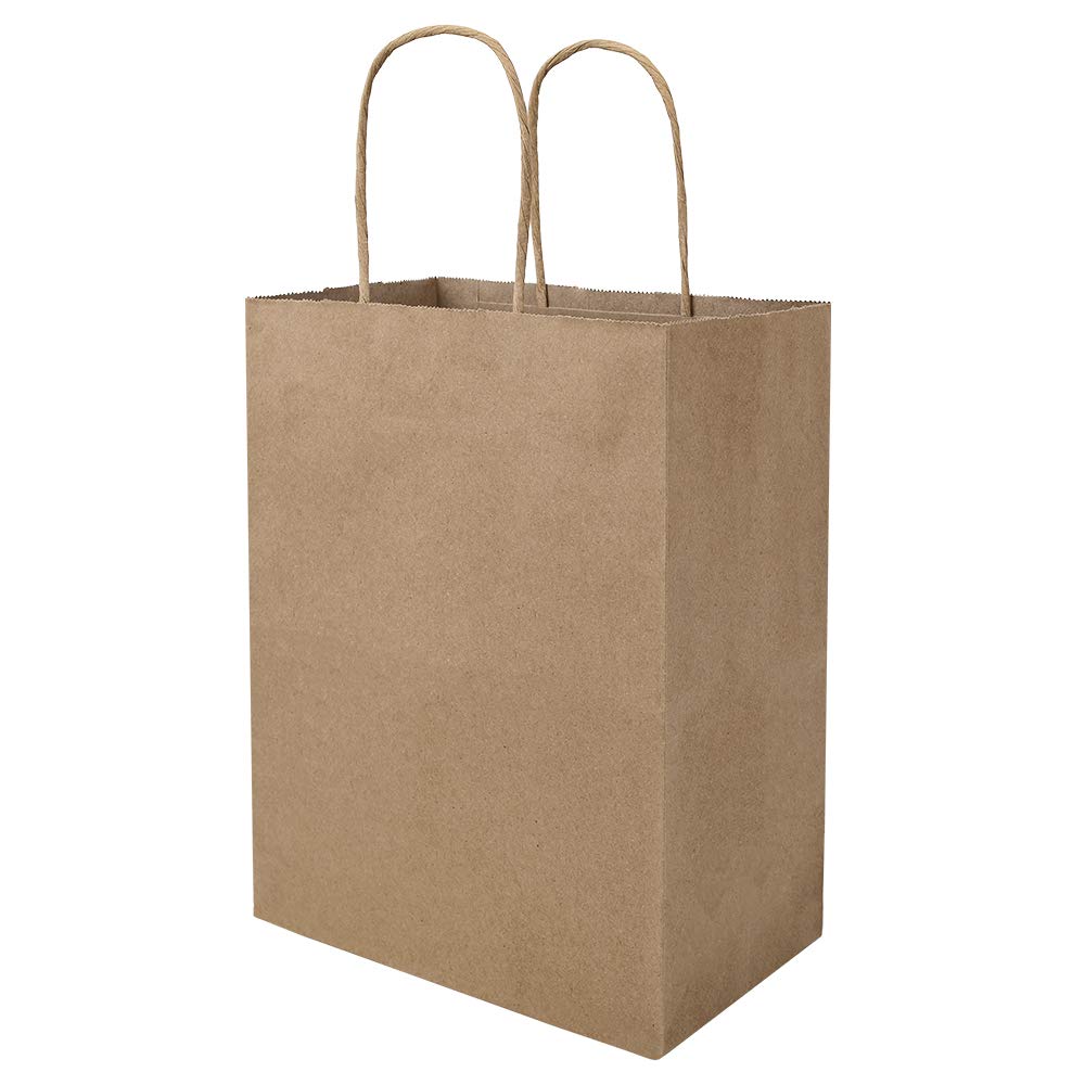 bagmad 100 Pack 8x4.75x10 Inch Plain Medium Paper Bags with Handles Bulk, Brown Kraft Craft Gift Bags, Grocery Shopping Retail Birthday Party Favors Wedding Sacks (Natural Brown, 100pcs)