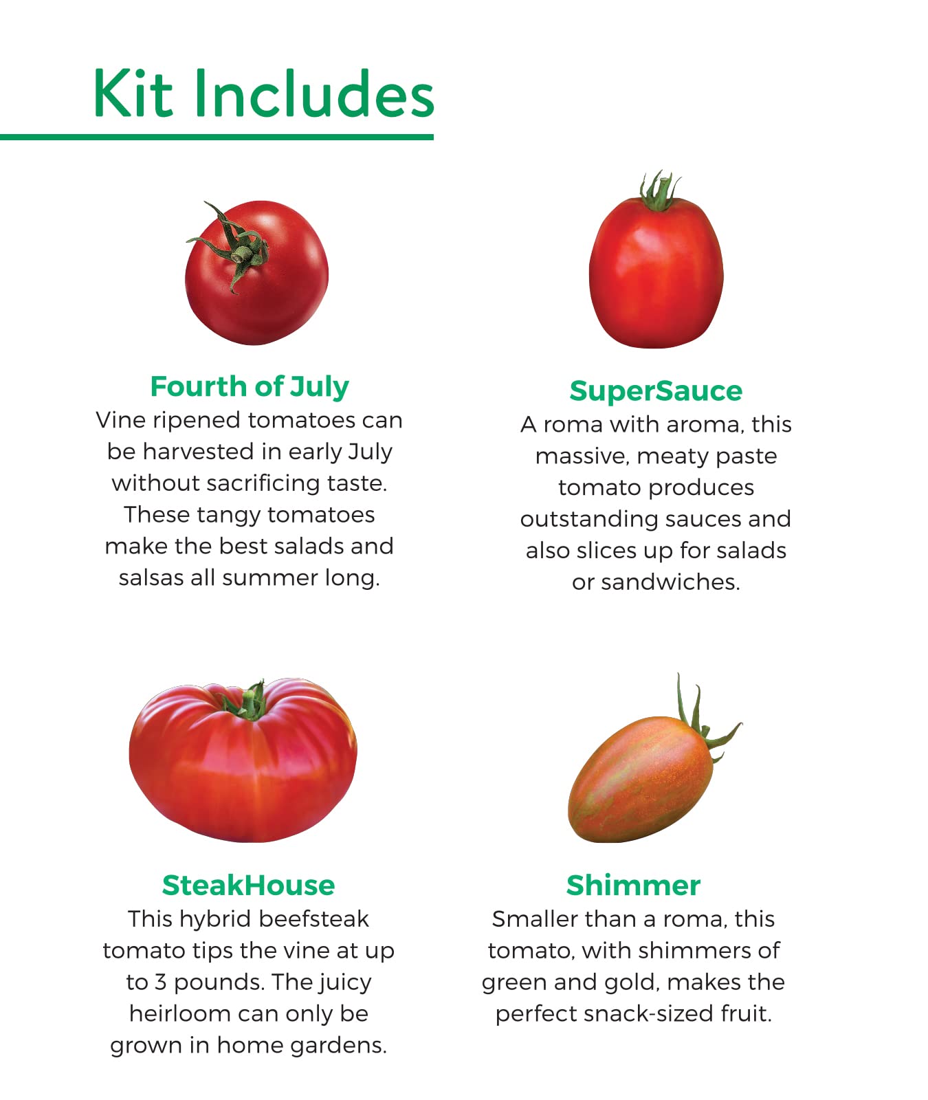 Burpee Best Starter Kit, SuperSauce, Fourth of July, Shimmer & Steakhouse, 4 Tomato Seed Packets, 4 Pots, 4 Coir Pellets & 4 Plant Markers