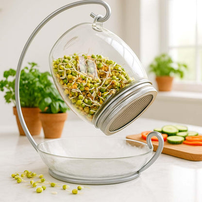 ALCEDIA Premium Sprouting Jar Kit - Unique 30 oz Wide Mouth Sprouting Jar, Stand, Tray and 316 Stainless Screen Lid | Decorative Indoor Seed Sprouter and Germinator (1 Kit)