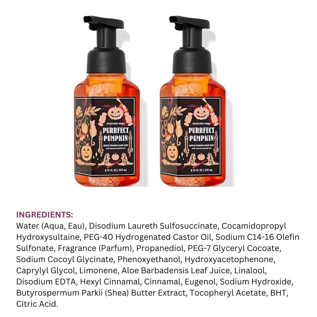 Bath & Body Works Purrfect Pumpkin Gentle Foaming Hand Soap 8.75 Ounce 2-Pack (Purrfect Pumpkin), 17.5 Ounce, 1.47 pounds