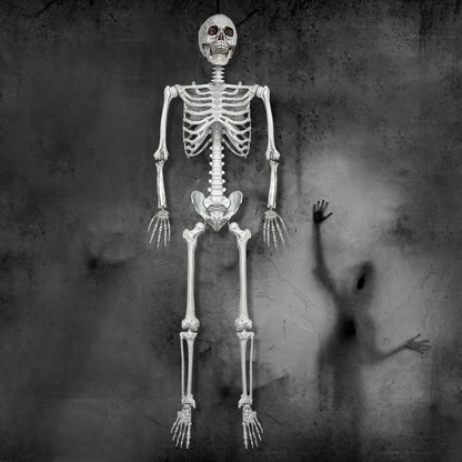Wocst 5.4Ft/165cm Halloween Skeleton Full Body Life Size Human Bones with Movable Joints for Indoor Outdoor Halloween Props Decorations