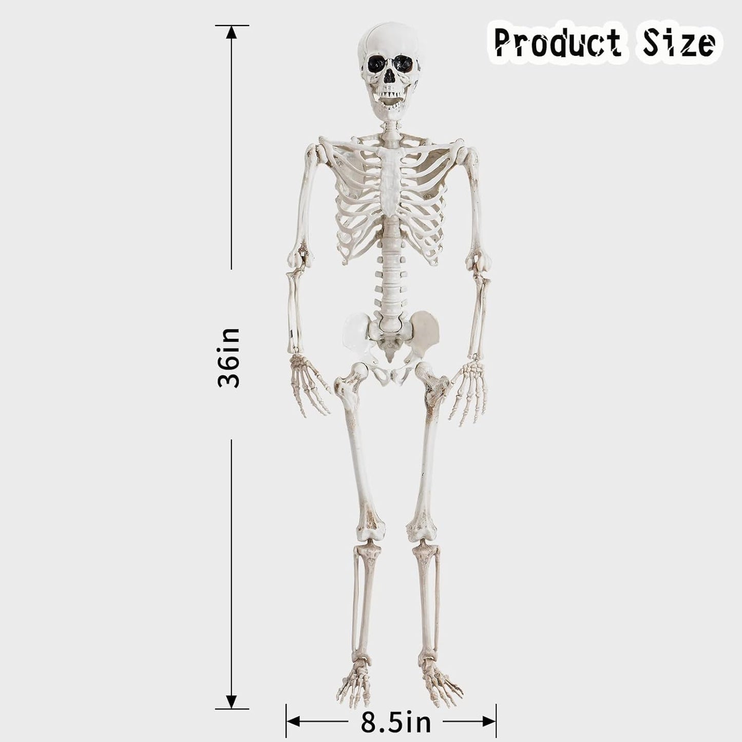 Abakuku 36" Halloween Skeleton Decorations,Human Bones for Halloween Party with Movable Joints,for Haunted Houses, Front Lawn, Graveyard Props