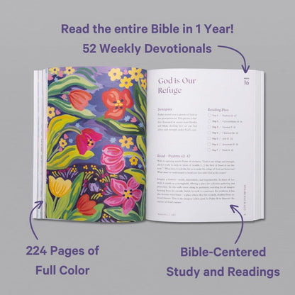 A Beautiful Year in the Bible: The 52-Week Bible Study for Women (SC)