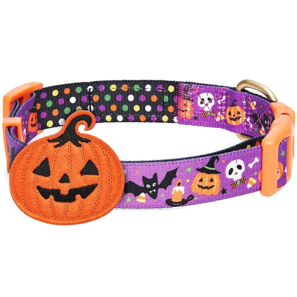 Blueberry Pet Halloween Pumpkin Party Designer Adjustable Dog Collar with Detachable Decoration, Medium, Neck 14.5"-20"