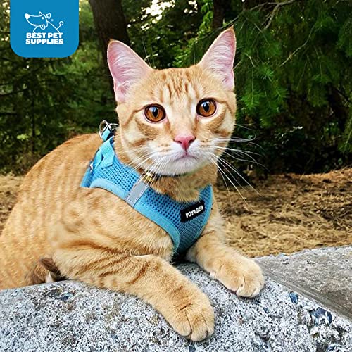 Best Pet Supplies - All Weather Mesh, Reflective, No Pull Harness for Small, Medium Dogs, Cats - Secure with Hook & Loop Fastener, Buckle, Double D-Rings - Baby Blue, S