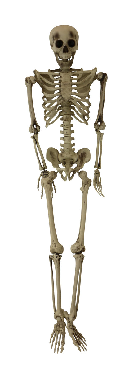 Haunted Hill Farm Life-Size Scary Skeleton Prop, Poseable, Battery-Operated Indoor or Covered Outdoor Halloween Decoration