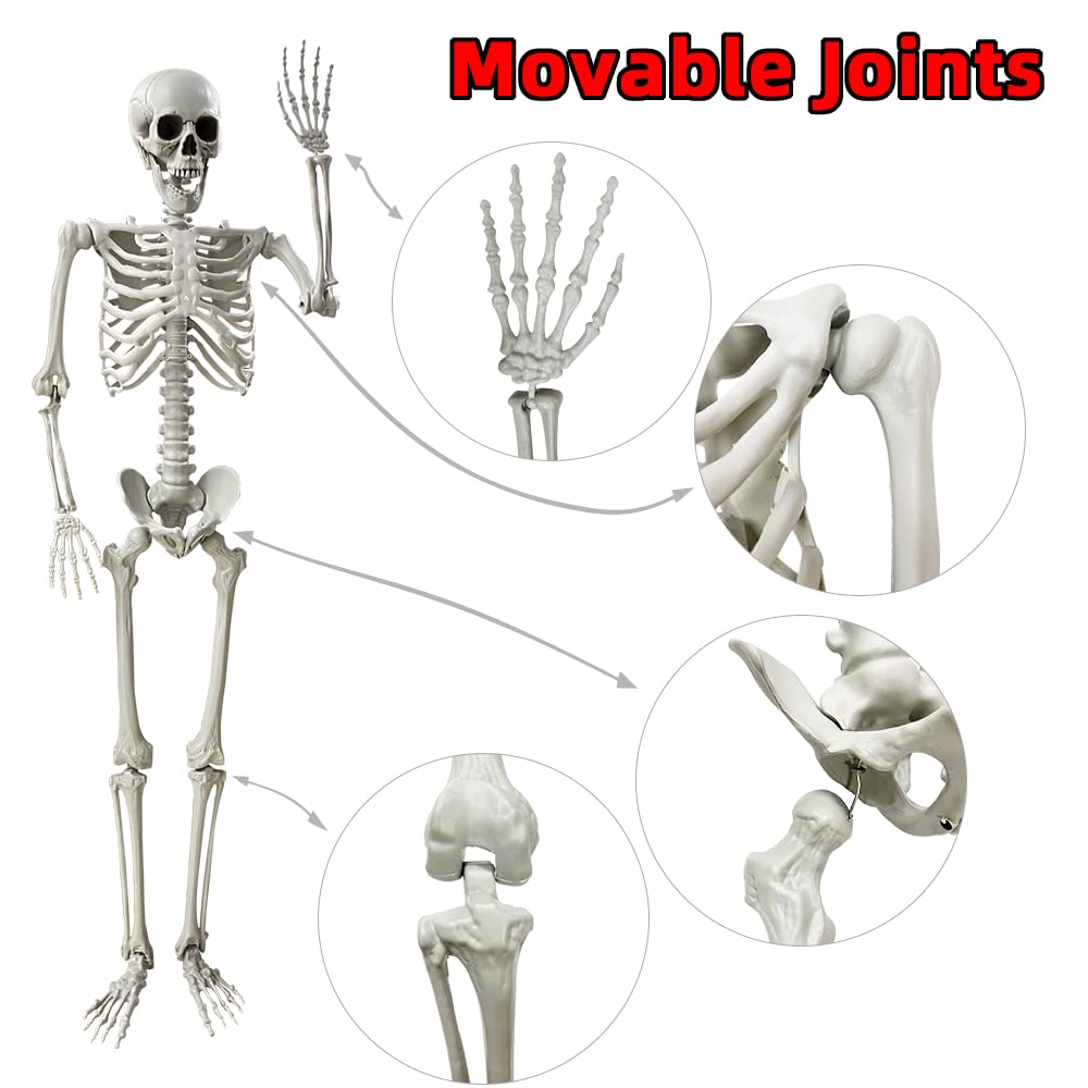 Wocst 5.4Ft/165cm Halloween Skeleton Full Body Life Size Human Bones with Movable Joints for Indoor Outdoor Halloween Props Decorations