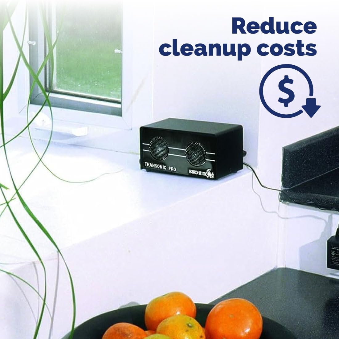 Bird-X Transonic PRO, Sonic and Ultrasonic Critter-Preventer and Scarer with 2 Speakers, Ideal for Indoor Areas, Covers up to 3,500 sq. ft., 6"x3"x3"