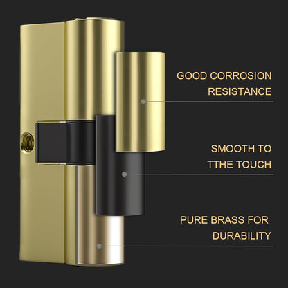 Bwintech Keyed Alike 30/30 mm Euro Brass Cylinder, 60 mm Key/Key Cylinder Lock with 10 Horizontal Brass Keys, Anti Picking, Anti Drill, Anti Bumping, Polished Brass Finish