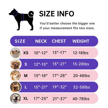 IVY&LANE No Pull Dog Harness for Medium Dogs, Dog Vest Harness with Leash, Safety Belt and Storage Strap, Fully Adjustable Harness, 360° Reflective Strip, Soft Handle (Purple, M)