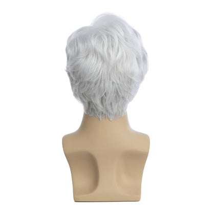 Baruisi Men Wigs Short White Wig Synthetic Heat Resistant Natural Halloween Cosplay Hair Wig