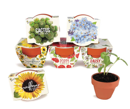 Buzzy Seeds Terracotta Mini Grow Pots | Herb, Plant, Flower Starter Kit for Kids & Adults | Assorted 6-Pack, Daydream Collection | Guaranteed to Grow | Best Indoor-Outdoor Gardening Gift