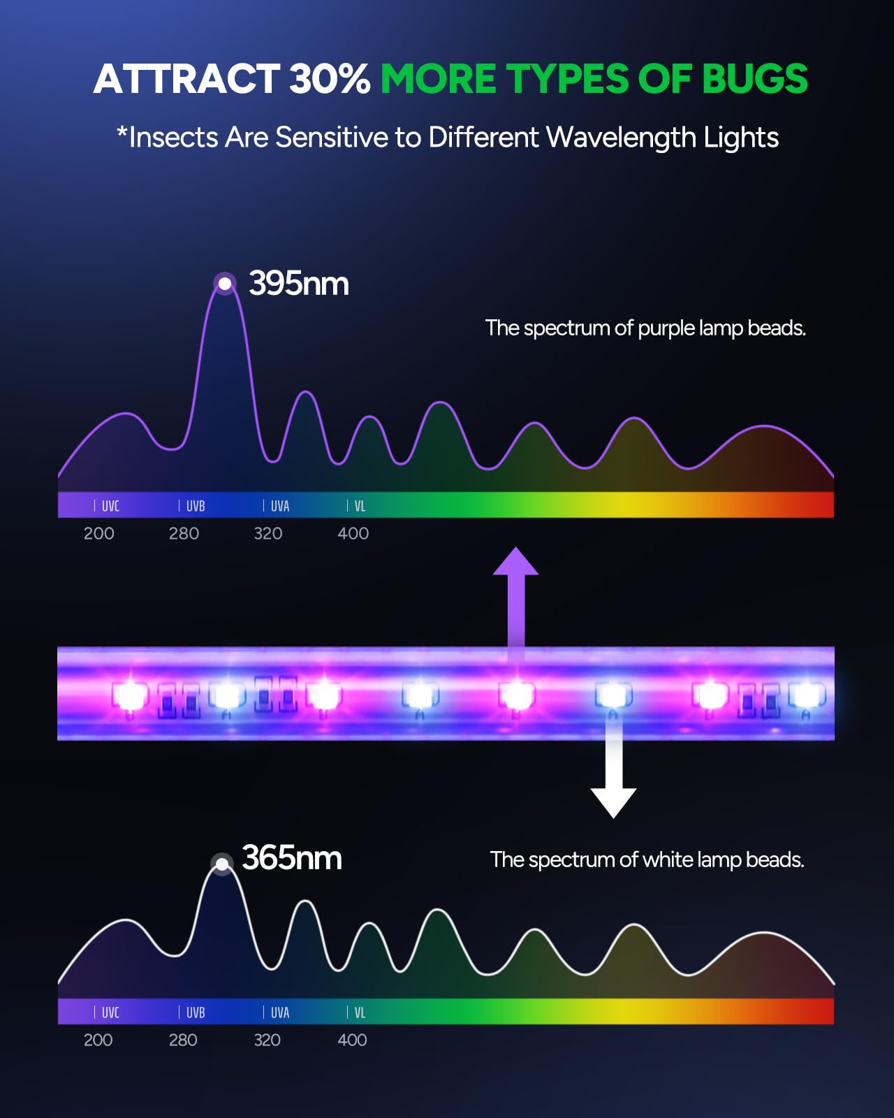 Buzbug LED Bug Zapper Indoor, 10 Years Lifespan 3 Lamps Enhance Insect Attraction, 3800V High-Voltage, Electric Mosquito Zapper, Fruit Fly Mosquito Moth Gnat Trap, Killer, Zapper -MA009