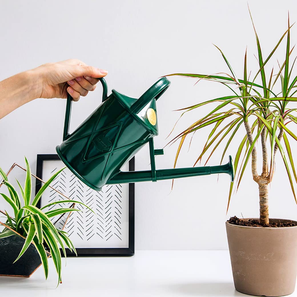 Indoor Plastic Watering Can | The HAWS The Bartley Burbler - Two Pint | Pot Waterer | Fine Spray Rose - Green
