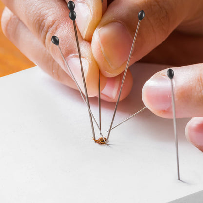 Insect Display Case Box Collection Box with Clear Top, EVA Foam Pinning Board and 100 Pieces Pins Insect Shadow Box Kit Entomology Supplies for Collecting Butterfly Specimen(Carbonized Black)