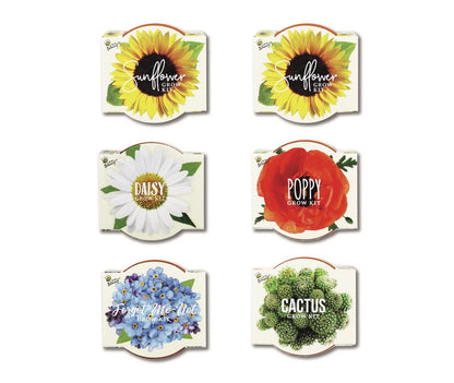 Buzzy Seeds Terracotta Mini Grow Pots | Herb, Plant, Flower Starter Kit for Kids & Adults | Assorted 6-Pack, Daydream Collection | Guaranteed to Grow | Best Indoor-Outdoor Gardening Gift