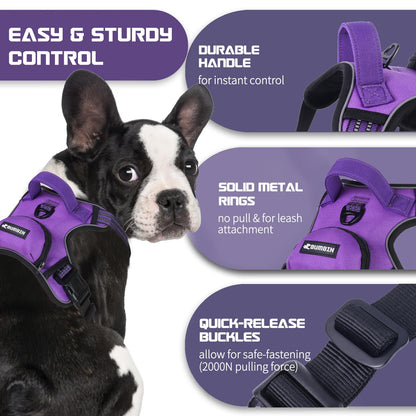 BUMBIN Dog Harness for Large Dogs, No Pull Adjustable No Choke Pet Vest with Dog Leash Fit Smart Reflective Pet Walking Harness for Training Easy Control Soft Handle Purple M