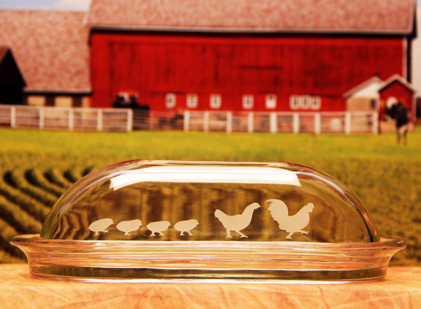 Armour Glass Etching Cream Carded,2.8-Ounce