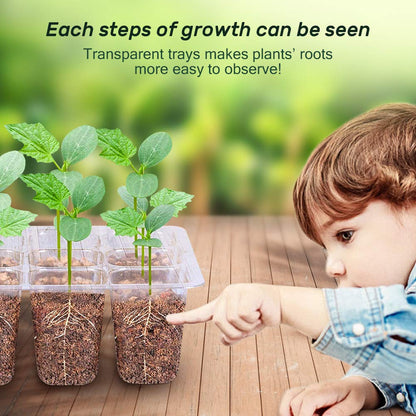 Bonviee 5-Pack Seed Starter Trays, Seed Starter Kit with Adjustable Humidity Dome and Base Indoor Greenhouse Mini Propagator for Seeds Growing Starting (12 Cells Per Tray, Green)