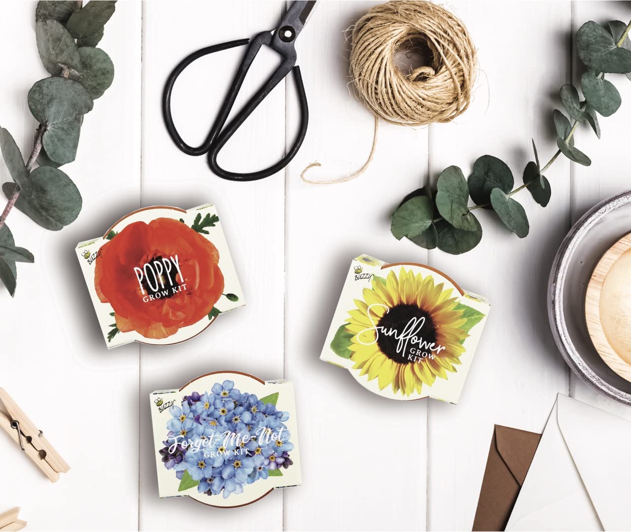 Buzzy Seeds Terracotta Mini Grow Pots | Herb, Plant, Flower Starter Kit for Kids & Adults | Assorted 6-Pack, Daydream Collection | Guaranteed to Grow | Best Indoor-Outdoor Gardening Gift