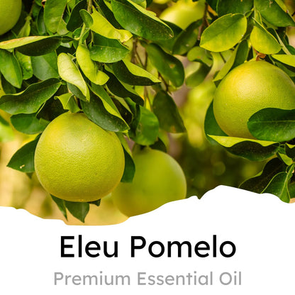 Air Jungles Eleu Pomelo Scent Car Air Freshener Clip, 6 Vent Clips, 4 ml Each, Long Lasting Air Freshener, Up to 180 Days Car Refresher Odor Eliminator