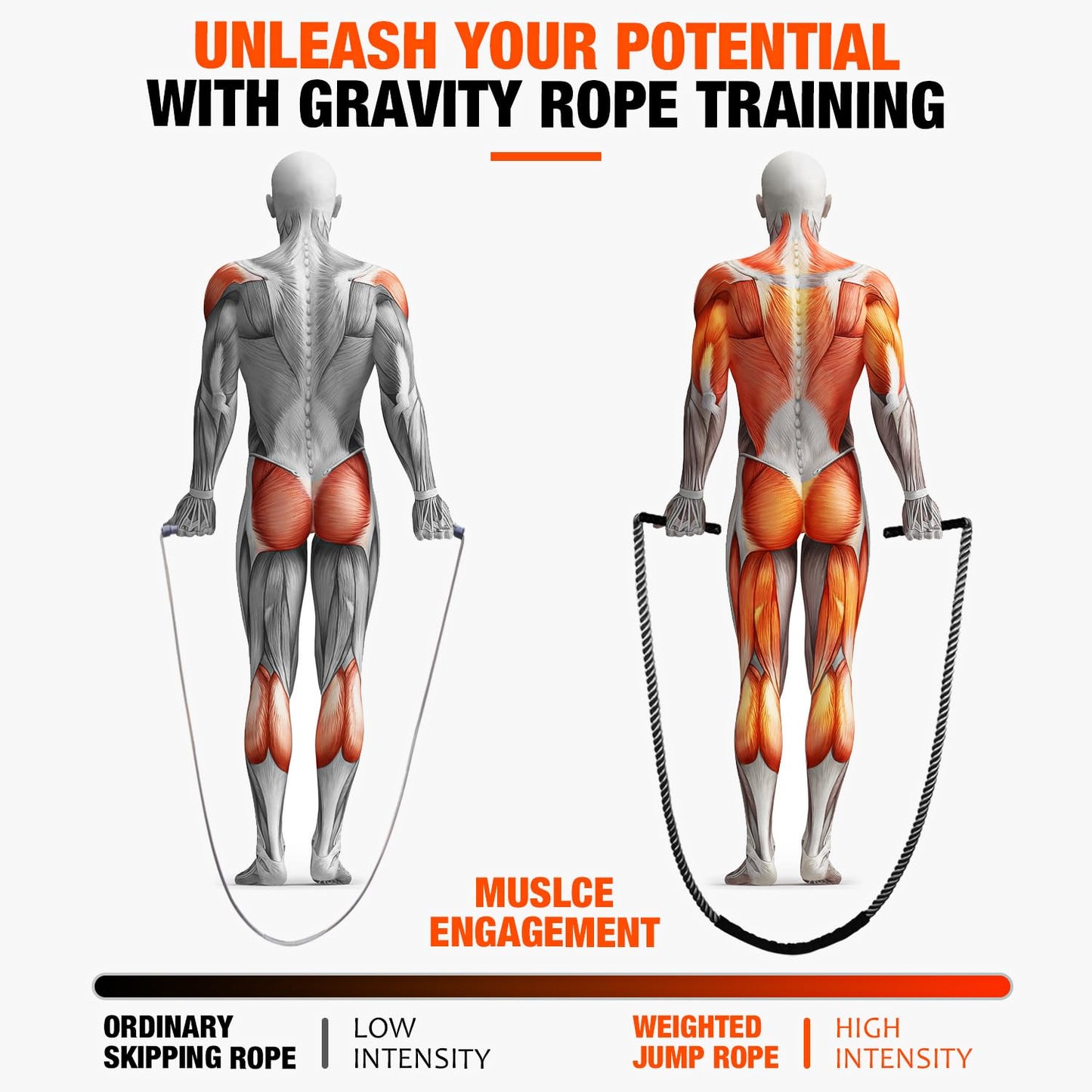 HOXWC Weighted Jump Rope, 2lb Heavy Duty Jump Rope for Fitness, Battle Rope for Fitness Training, Full Body Exercise at Home Gym for Men and Women, Strengthening Legs, Arms and Stabilizing Muscles