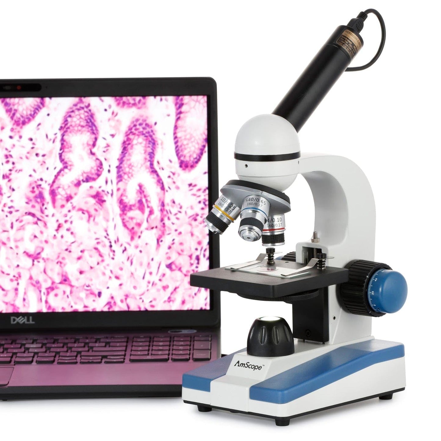 AmScope M150 Series Portable LED Monocular Student Compound Microscope - 40X-1000X Magnification - Microscope Kit Includes Dust Cover, 2 Clips & 2 Eyepieces