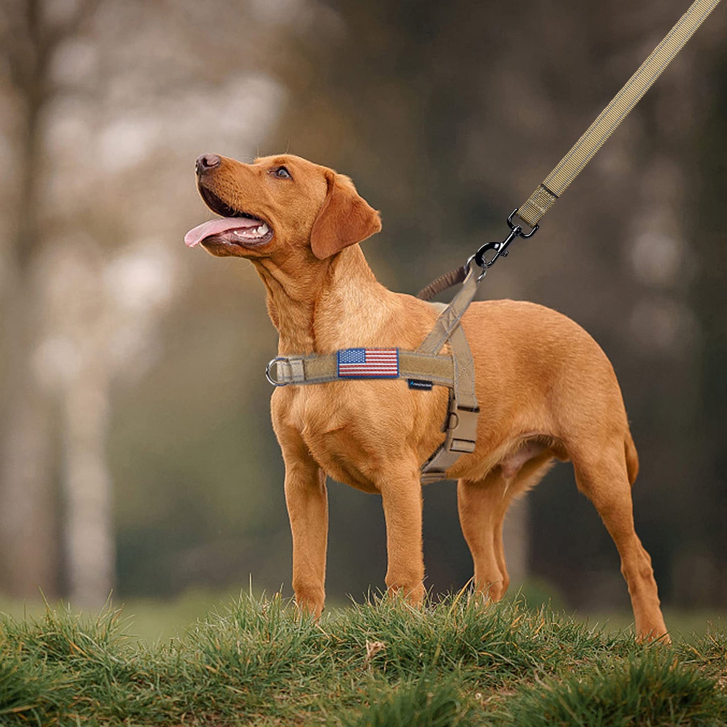 Annchwool No Pull Dog Harness with Soft Padded Handle,Reflective Strip Escape Proof and Quick Fit to Adjust Dog Harness,Easy for Training Walking for Small & Medium and Large Dogs(Brown,XL)