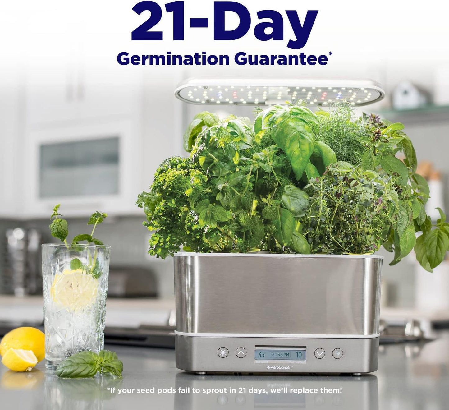 AeroGarden Harvest Elite Indoor Garden Hydroponic System with LED Grow Light and Seed Kit, Holds up to 6 Pods, Stainless Steel