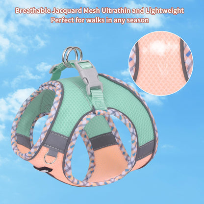 AIITLE Tiny Dog Harness - Lightweight Mesh Step-in Vest for Puppy, Reflective & Escape-Proof Design with High-Stick Velcro - Indoor/Outdoor Use for Chihuahua, Maltese, Shih Tzu(Turquoise-Pink, XXXS)