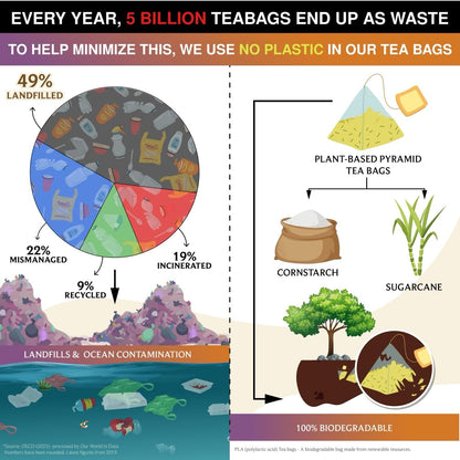 BREWIX, Pumpkin Spice Black Tea Bags (25 Pyramid Bags) | Cozy Fall Blend with Cinnamon, Ginger, Nutmeg & Clove | Caffeinated, Warm & Aromatic | Perfect for Autumn & Halloween