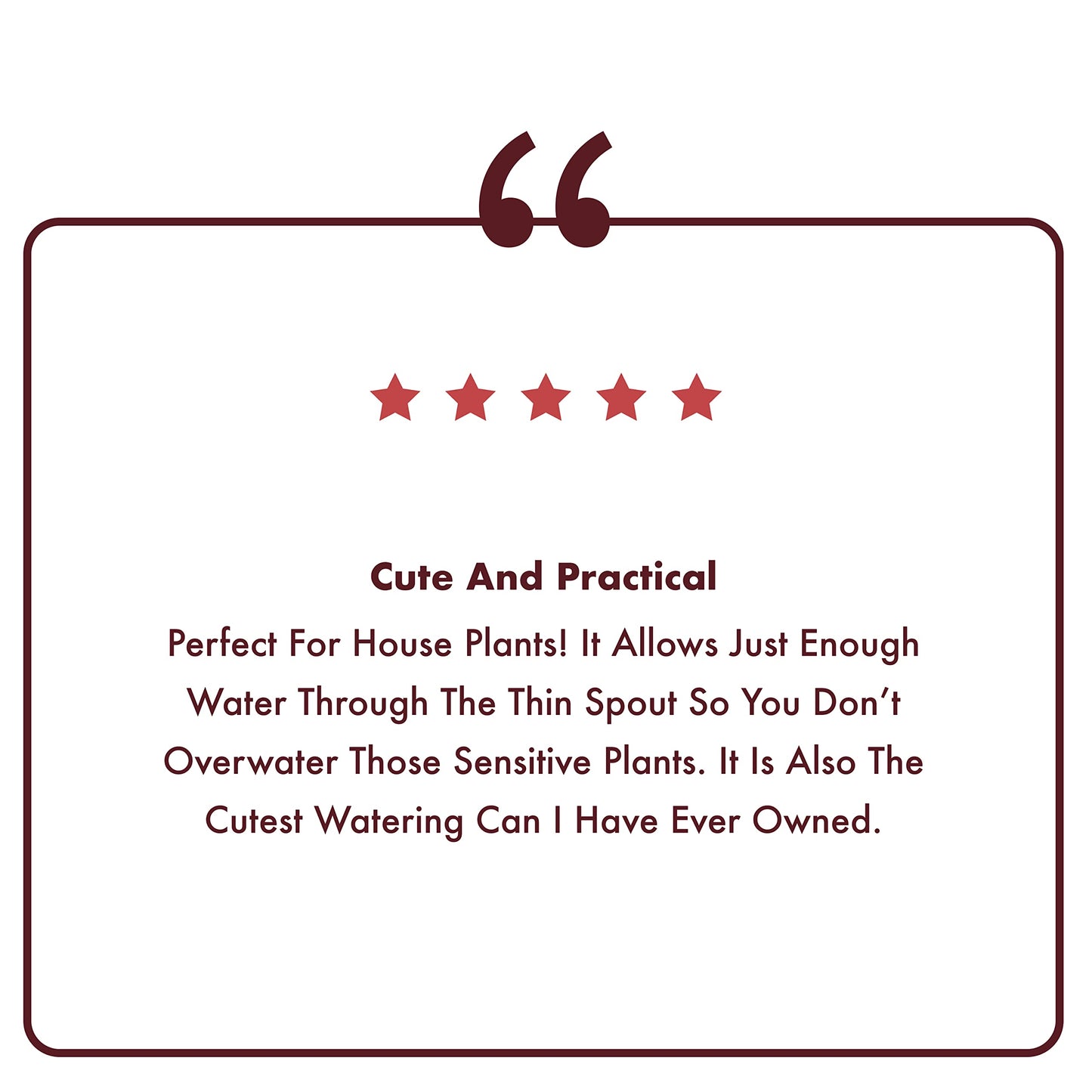 Homarden 30 oz. Copper Watering Can - Long Spout Metal Can for Indoor & Outdoor Plants