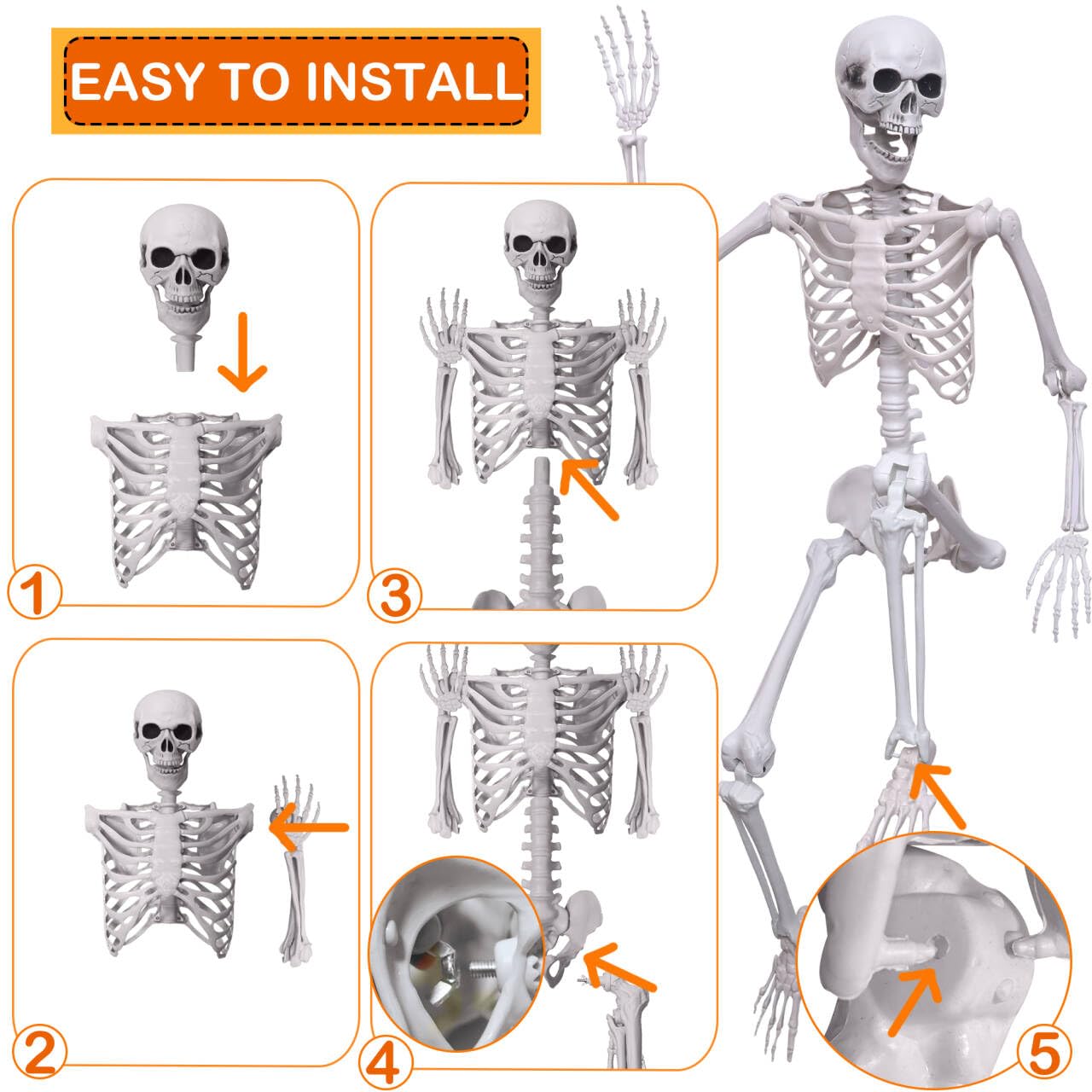 Wocst 5.4Ft/165cm Halloween Skeleton Full Body Life Size Human Bones with Movable Joints for Indoor Outdoor Halloween Props Decorations