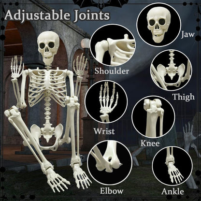 5.4ft/165cm Halloween Skeleton, Life Size Skeleton with Spider Pumpkin Bag, Full Body Human Bones with Movable Joints for Halloween Indoor Outdoor Haunted House Decorations