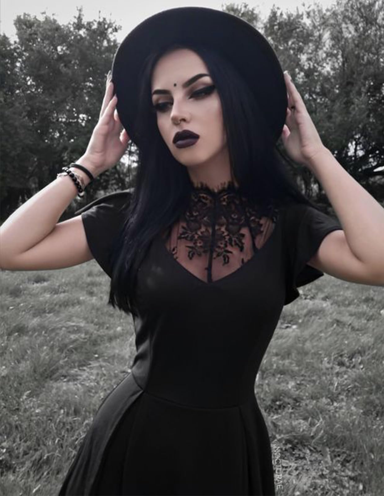 Womens Gothic Dress Lace Neck Flutter Sleeve Swing A-line Midi Dresses Black XL