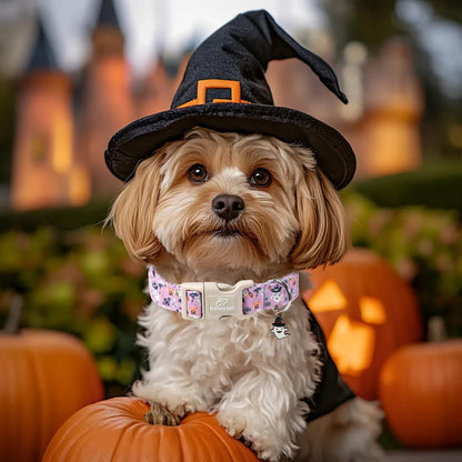 Babole Pet Halloween Dog Collar Cute Wizard Ghost Puppy Collar - Light Comfortable Adjustable Pet Collars for Small Medium Large Girl Boy Dogs S