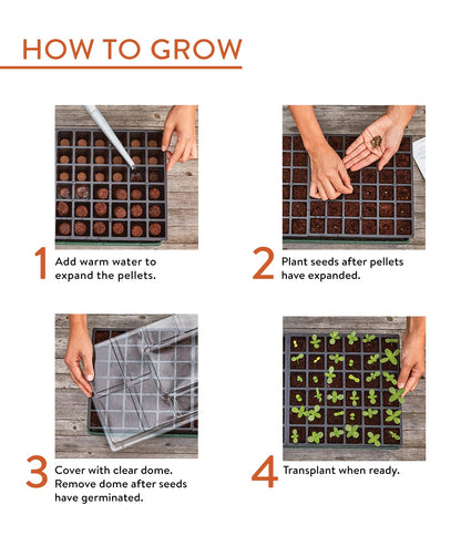 Burpee 36 Cell Seed Starting Kit, One Size, Model:Seed Starter Tray