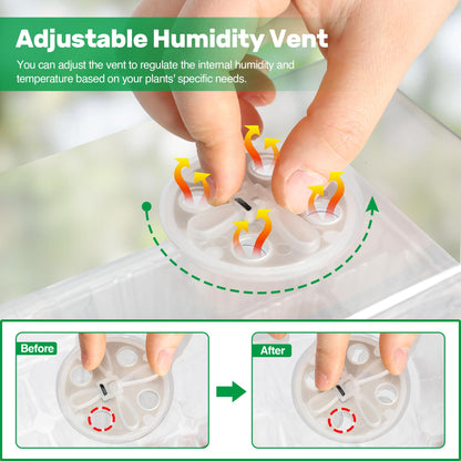 Bonviee 5 Packs Seed Starter Tray with Grow Light, Elevated Seedling Starter Trays Kits with Adjustable Humidity Domes and Clear Cell Tray, 12 Full Spectrum led lamp Beads for Plants Indoor-Clear