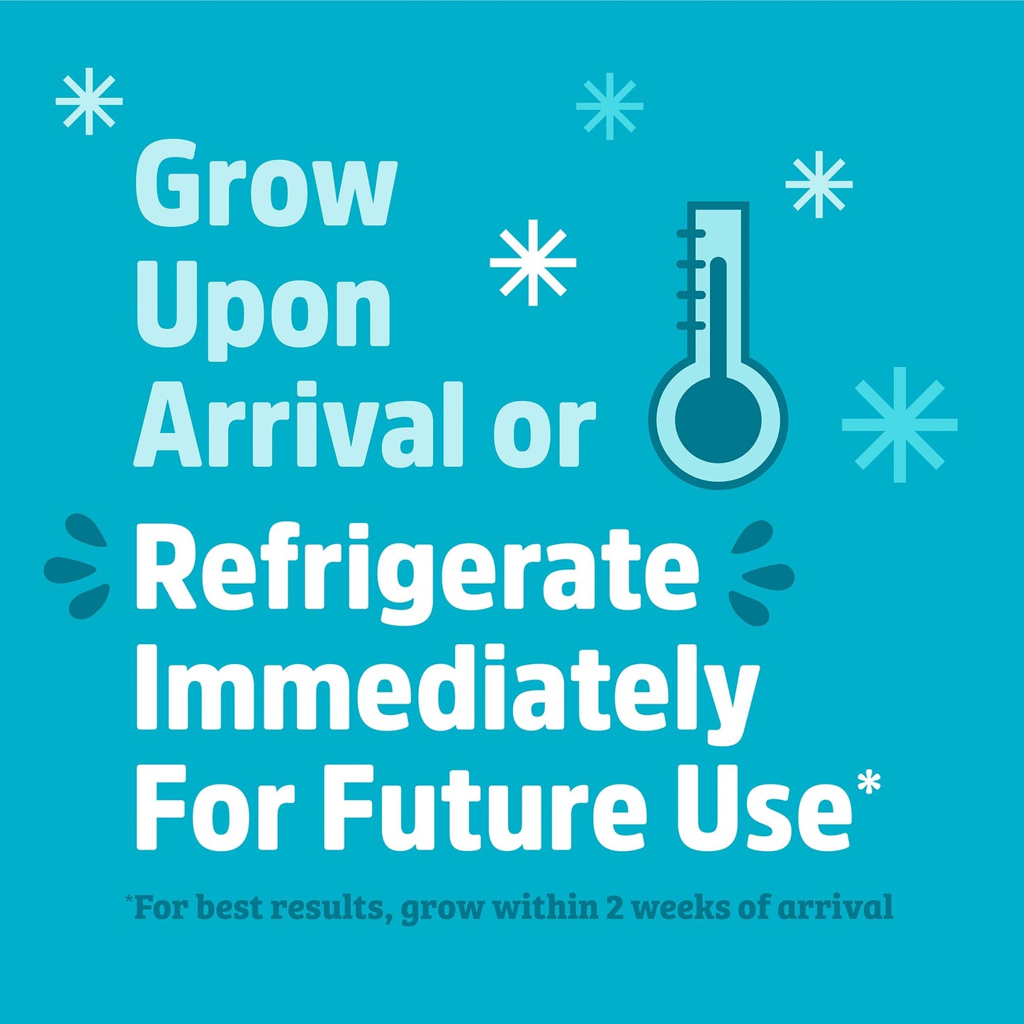 Back to the Roots Organic Shiitake Mushroom Kit; Great Gift; Easy for Beginners, For Indoor Growing (Start Growing Right Away)