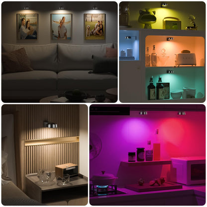 3PCS Picture Lights with Remote, Rechargeable Battery Magnetic Poster Lights with 3 Color Temps&12 RGB, Dimmable and Timer Metal Art Light for Display, Wall, Artwork, Gallery (Black)