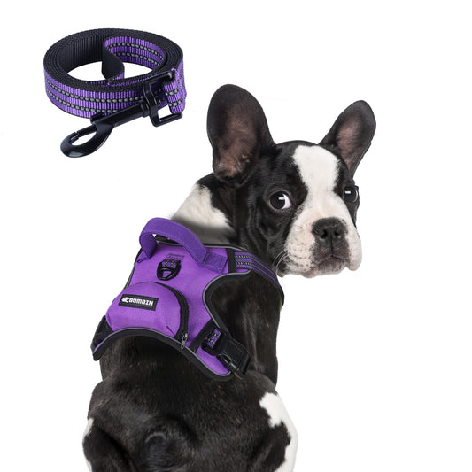 BUMBIN Dog Harness for Large Dogs, No Pull Adjustable No Choke Pet Vest with Dog Leash Fit Smart Reflective Pet Walking Harness for Training Easy Control Soft Handle Purple M