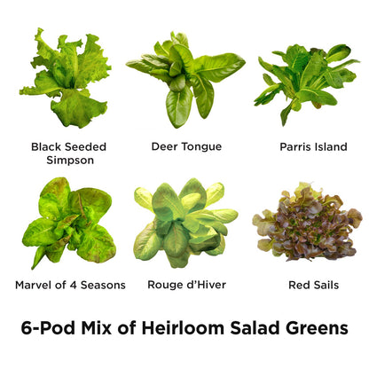 AeroGarden Heirloom Salad Greens Mix Seed pod Kit with Pre-Seeded Grow pods, Liquid Plant Food, and Growing Guide, 6-Pod