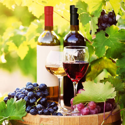 Blulu 200 Pcs Wine Sealer for Bottles PVC Heat Shrink Capsules Bottle Caps for Wine Making Cellars and Home Use (Black,Red,Gold,Silver)