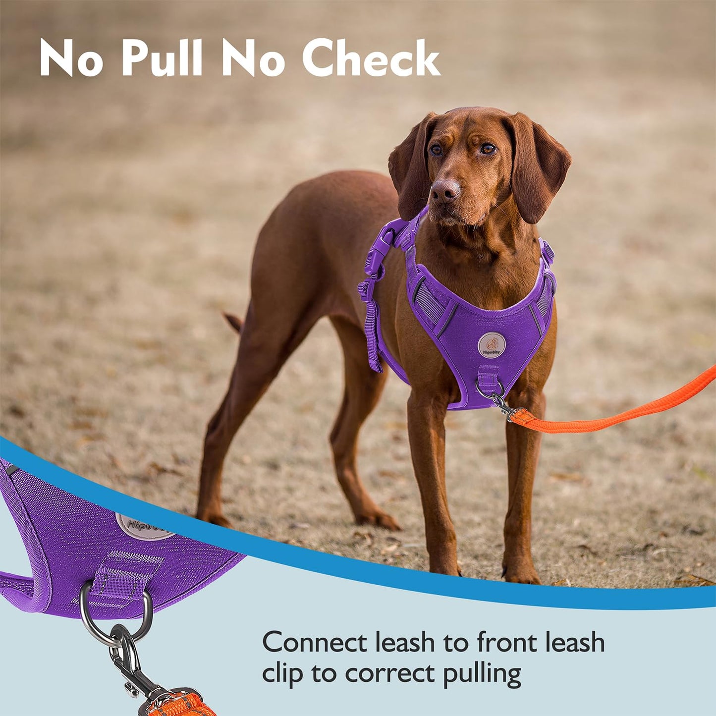 Hipubby Dog Harness Small Sized Dog, No Pull Pet Harness with 2 Metal Rings and Control Handle, Adjustable Soft Dog Vest with Reflective Strips, Easy Walking and Training for Small Dogs, Purple, S