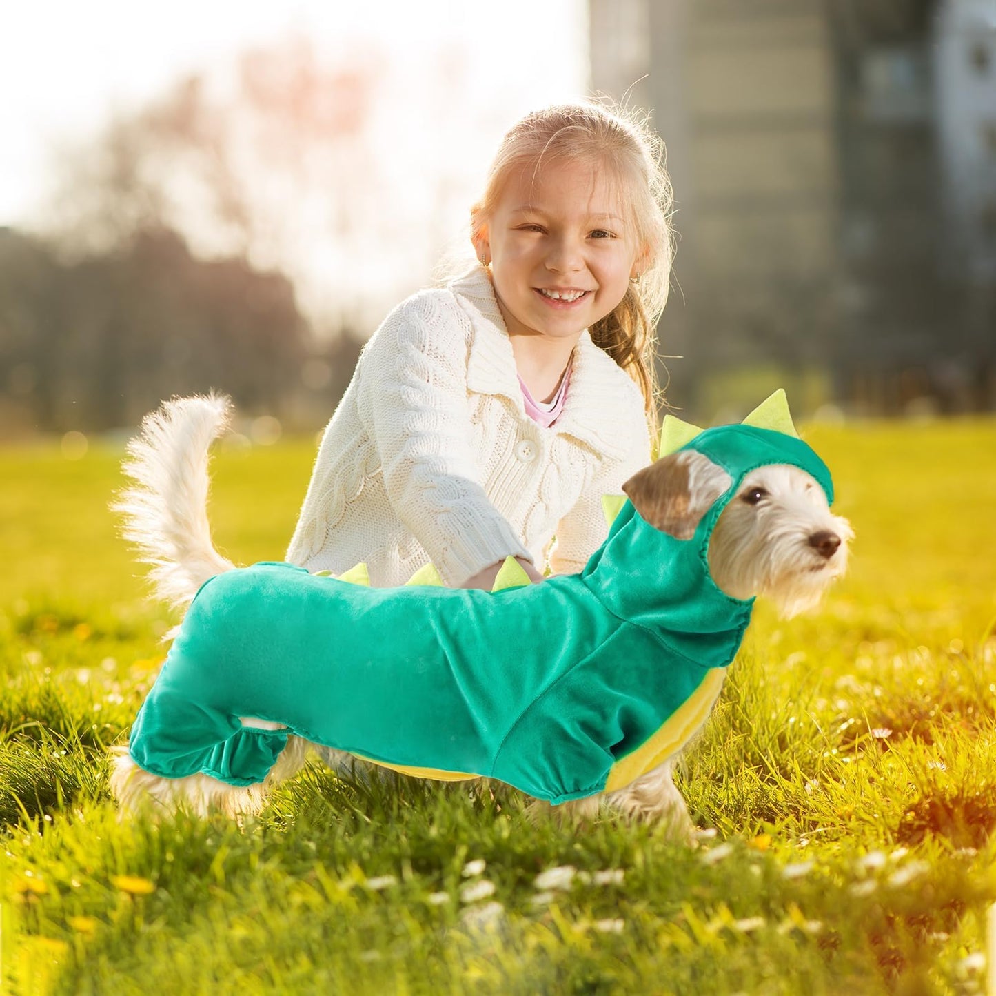 Hotumn Dinosaur Dog Halloween Costume Pet Dino Hoodie for Small Dogs (Small, Green)